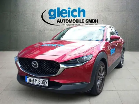 Annonce MAZDA CX-30 Essence 2023 d'occasion 