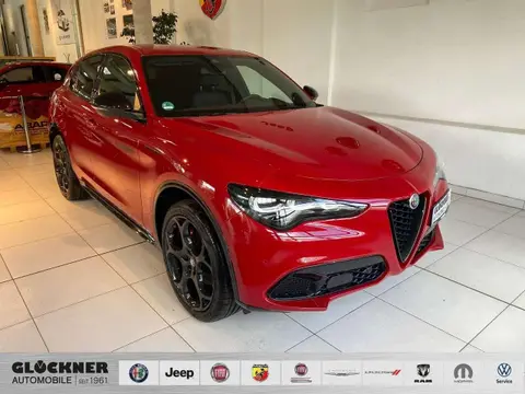 Used ALFA ROMEO STELVIO Petrol 2024 Ad 