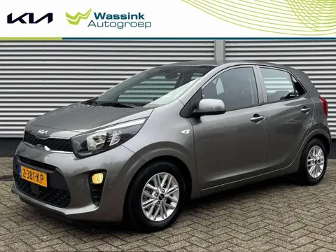 Used KIA PICANTO Petrol 2024 Ad 