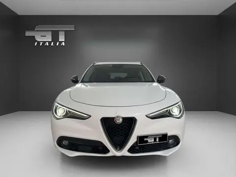 Used ALFA ROMEO STELVIO Diesel 2019 Ad 