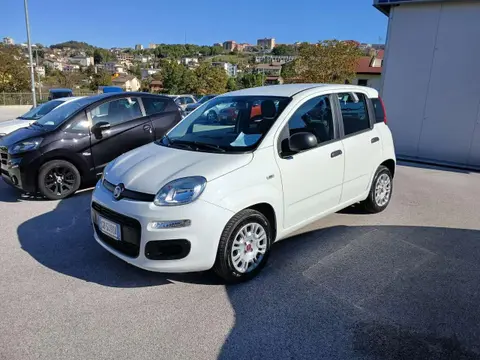 Used FIAT PANDA Petrol 2020 Ad 