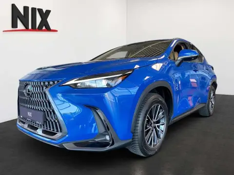 Used LEXUS NX Hybrid 2022 Ad 