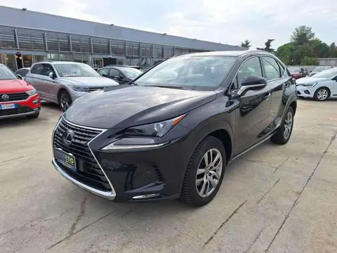 Used LEXUS NX Hybrid 2021 Ad 