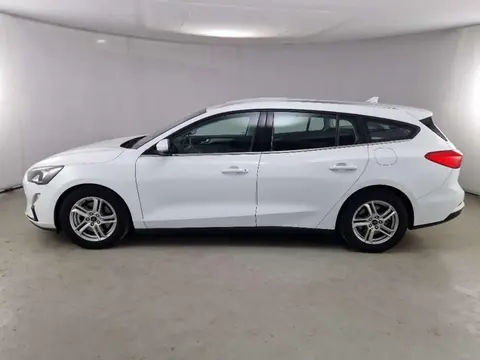 Used FORD FOCUS Diesel 2020 Ad 