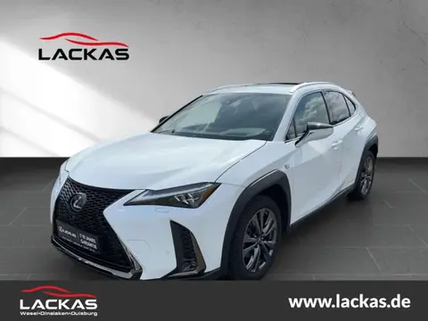 Used LEXUS UX Hybrid 2019 Ad 