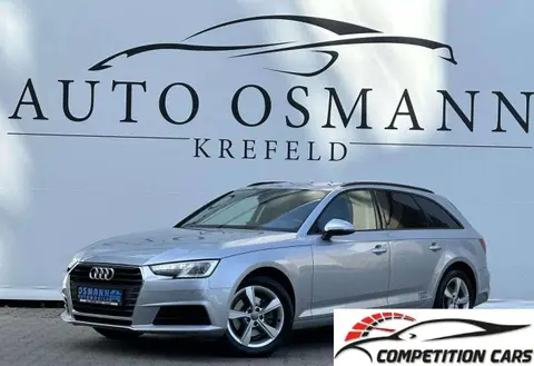 Annonce AUDI A4 Diesel 2019 d'occasion 