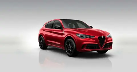 Annonce ALFA ROMEO STELVIO Essence 2024 d'occasion 