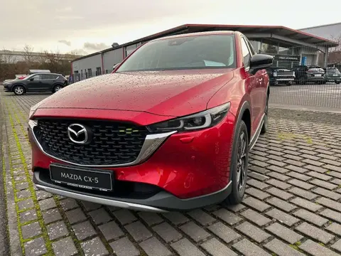 Annonce MAZDA CX-5 Essence 2024 d'occasion 