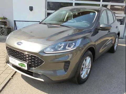 Used FORD KUGA Petrol 2021 Ad 