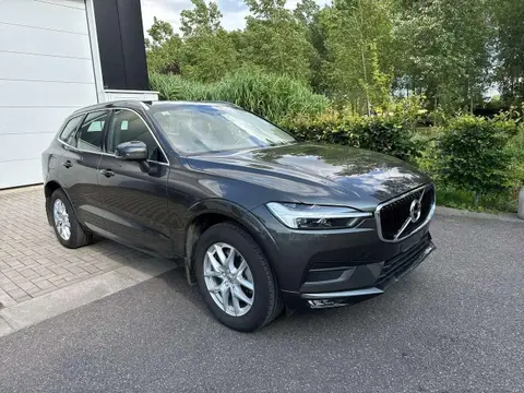 Used VOLVO XC60 Diesel 2021 Ad Belgium