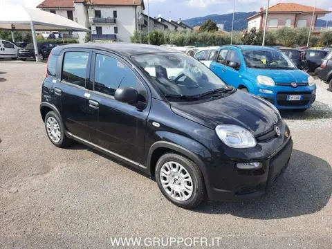 Annonce FIAT PANDA Hybride 2024 d'occasion 