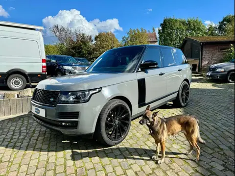 Used LAND ROVER RANGE ROVER Diesel 2015 Ad 