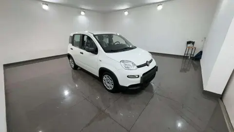 Used FIAT PANDA Hybrid 2024 Ad 