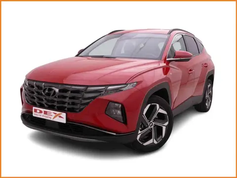 Annonce HYUNDAI TUCSON Essence 2024 d'occasion 