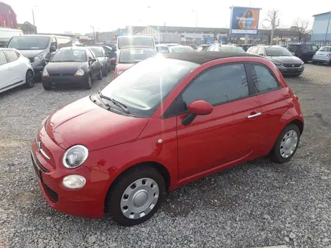 Used FIAT 500 Petrol 2022 Ad 