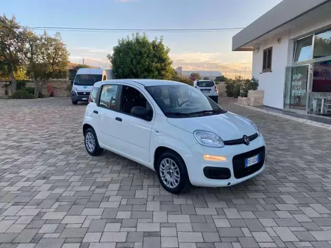 Used FIAT PANDA Petrol 2018 Ad 