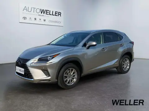 Used LEXUS NX Hybrid 2020 Ad 