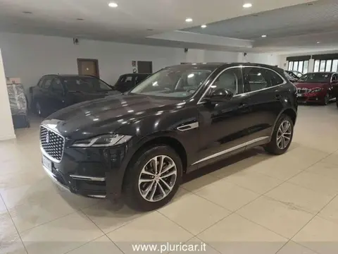 Used JAGUAR F-PACE Hybrid 2021 Ad 