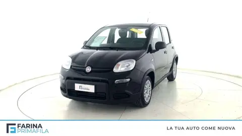 Annonce FIAT PANDA Hybride 2024 d'occasion 