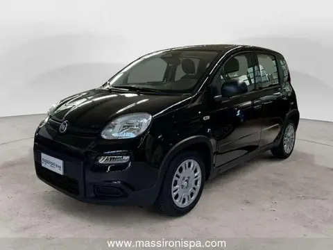 Used FIAT PANDA Hybrid 2024 Ad 