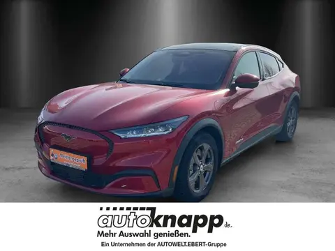 Annonce FORD MUSTANG Électrique 2023 d'occasion 