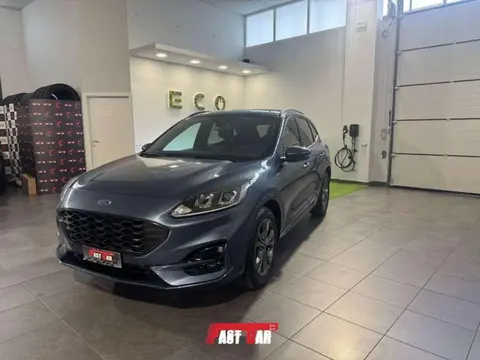 Used FORD KUGA Diesel 2022 Ad 