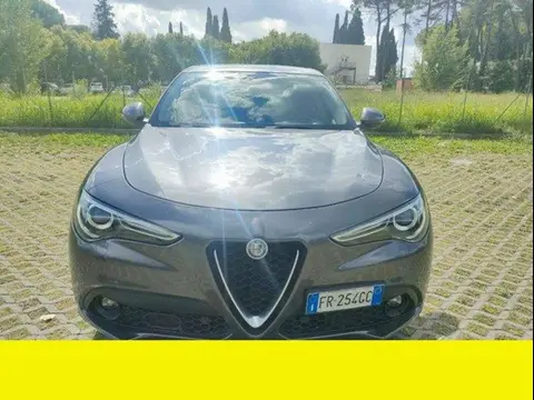 Used ALFA ROMEO STELVIO Diesel 2018 Ad 