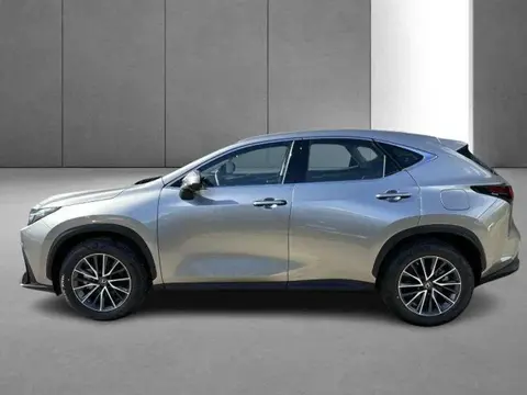 Used LEXUS NX Hybrid 2024 Ad 