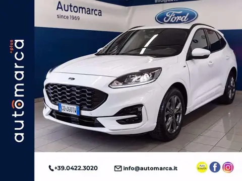 Annonce FORD KUGA Essence 2021 d'occasion 