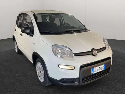 Annonce FIAT PANDA GPL 2024 d'occasion 