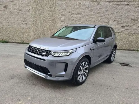 Annonce LAND ROVER DISCOVERY Hybride 2024 d'occasion 