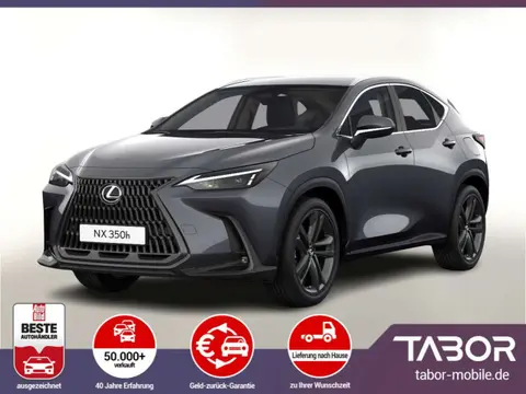 Used LEXUS NX Hybrid 2024 Ad 