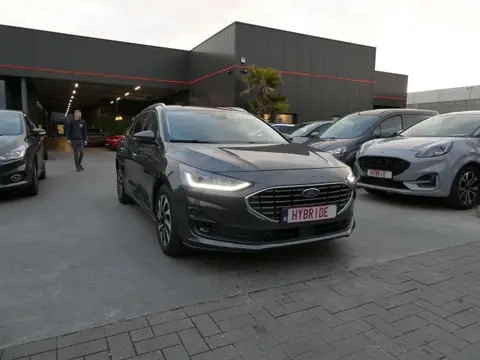 Annonce FORD FOCUS Hybride 2023 d'occasion Belgique