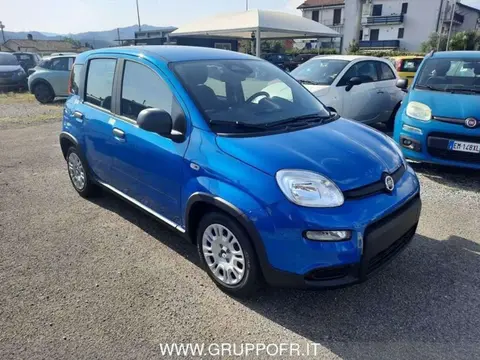 Annonce FIAT PANDA Hybride 2024 d'occasion 