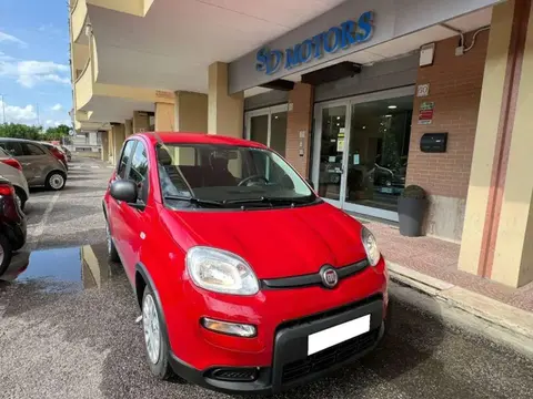 Annonce FIAT PANDA Hybride 2024 d'occasion 