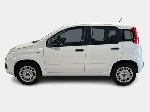 Used FIAT PANDA Petrol 2020 Ad 