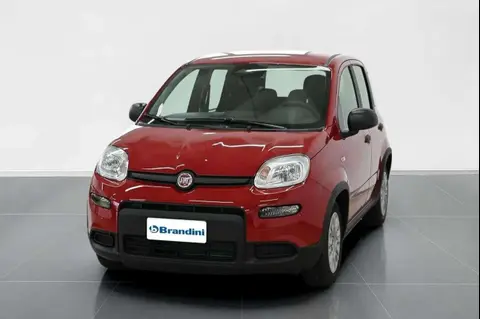 Used FIAT PANDA Hybrid 2024 Ad 