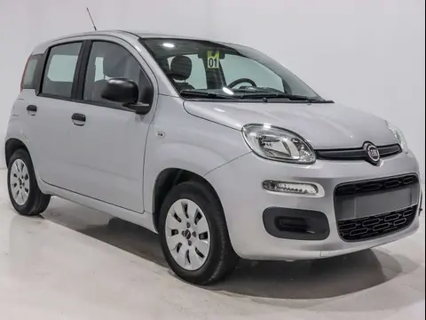 Used FIAT PANDA Petrol 2020 Ad 