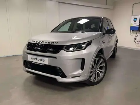 Used LAND ROVER DISCOVERY Hybrid 2020 Ad 