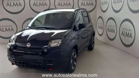 Used FIAT PANDA Hybrid 2024 Ad 