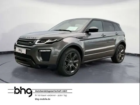 Used LAND ROVER RANGE ROVER EVOQUE Diesel 2018 Ad 