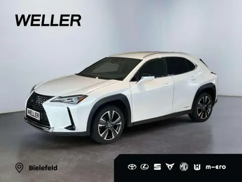 Annonce LEXUS UX Hybride 2020 d'occasion 