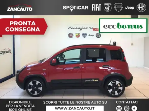 Used FIAT PANDA Hybrid 2024 Ad 