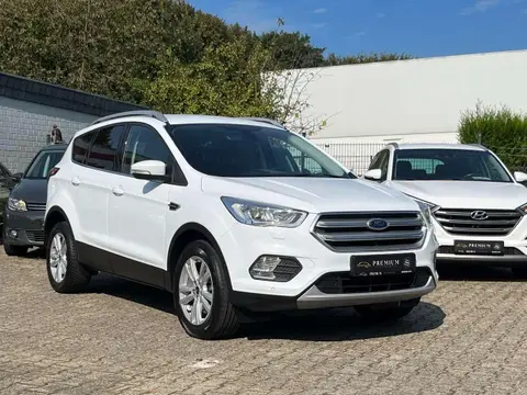 Used FORD KUGA Diesel 2019 Ad 