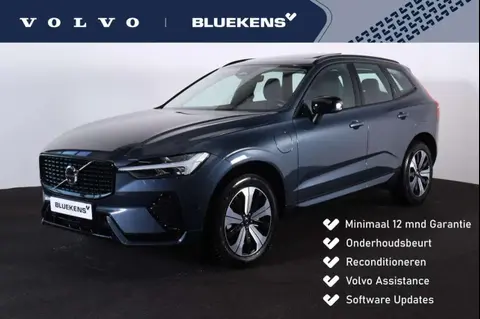 Annonce VOLVO XC60 Hybride 2024 d'occasion 