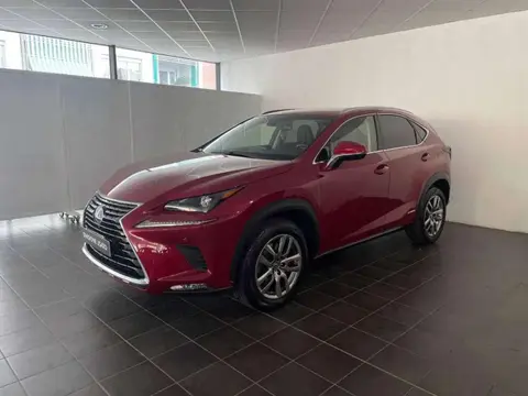 Annonce LEXUS NX Hybride 2018 d'occasion 