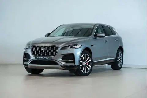 Annonce JAGUAR F-PACE Hybride 2021 d'occasion 