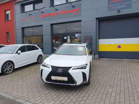 Used LEXUS UX Hybrid 2019 Ad 