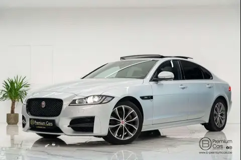 Used JAGUAR XF Diesel 2019 Ad 