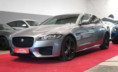 Used JAGUAR XF Diesel 2019 Ad 